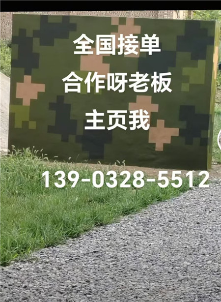 福建專業迷彩漆施工：圍墻防護數碼漆